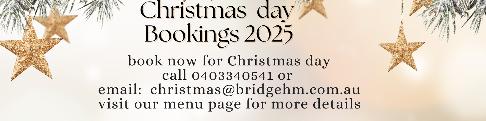 Bridge xmas day bookings (1)